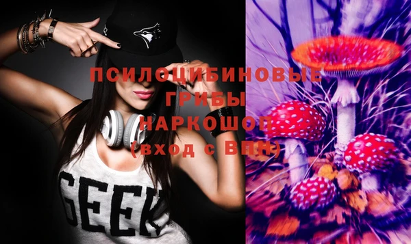 мет Белокуриха
